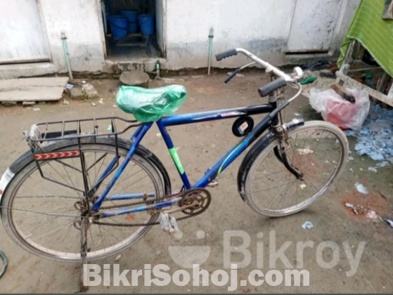 Cycle